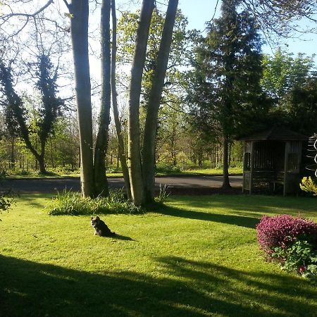 Folly Studio Bed And Breakfast Bungay Exterior photo