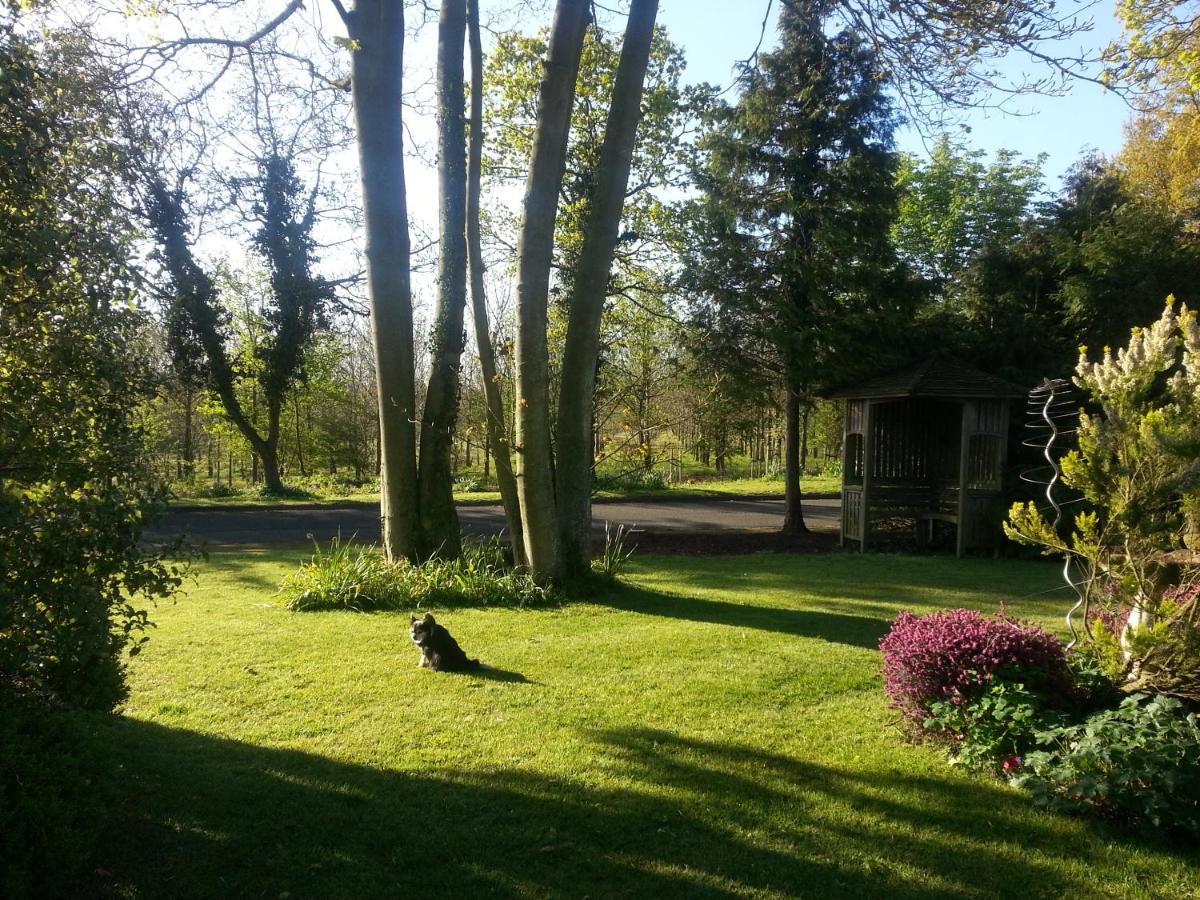 Folly Studio Bed And Breakfast Bungay Exterior photo