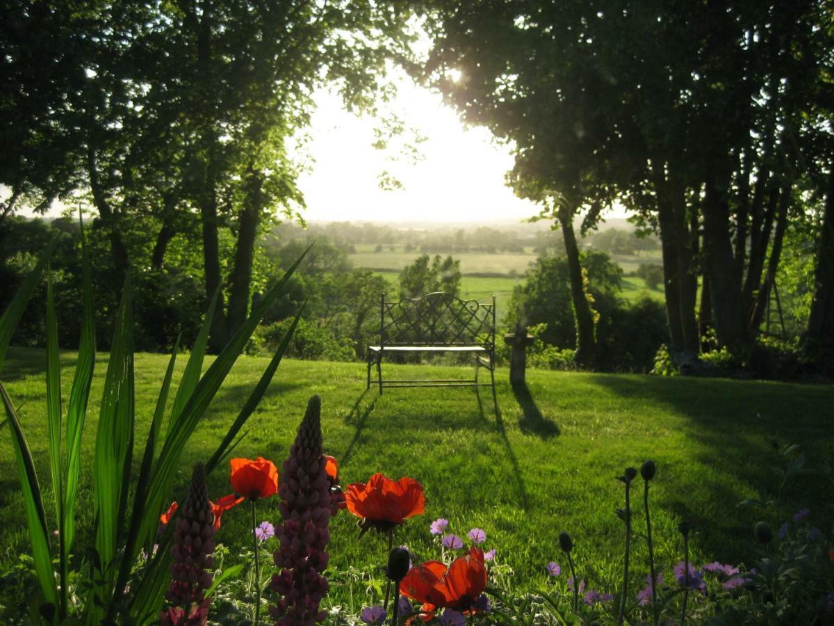 Folly Studio Bed And Breakfast Bungay Exterior photo