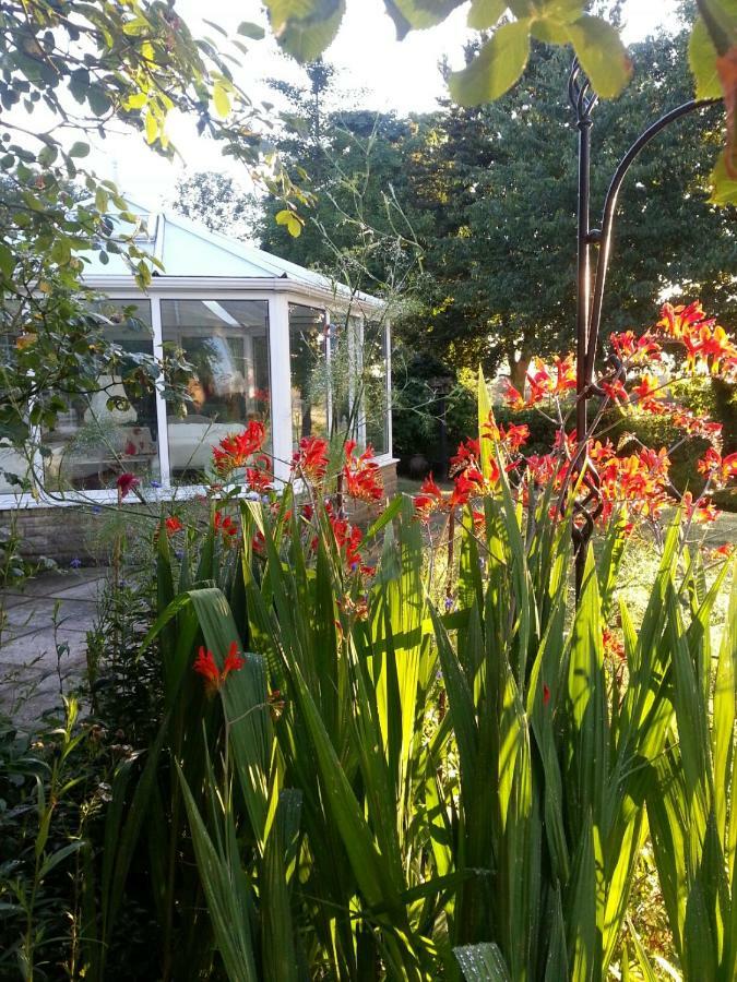 Folly Studio Bed And Breakfast Bungay Exterior photo